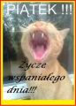 Zycze wspanialego dnia!!!