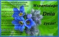Wspania�ego Dnia zycze!