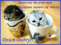 Dzien dobry! Milutkiego Dnia!