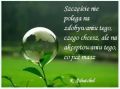 Zobacz Swoje Szczescie!