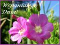 Dzien Dobry! Zycze Cie Wspanialego Dnia!