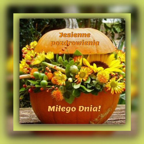 Jesienna dynia wype�niona ��tymi kwiatami s�onecznika i zielonymi li��mi z napisem Jesienne pozdrowienia
