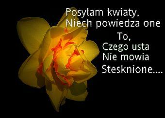 Kartka Posylam kwiaty