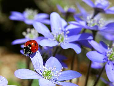 Kartka Specjalnie dla Ciebie