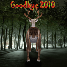 Kartka Goodbye 2010