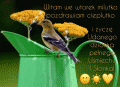 Witam we wtorekmilutko...
