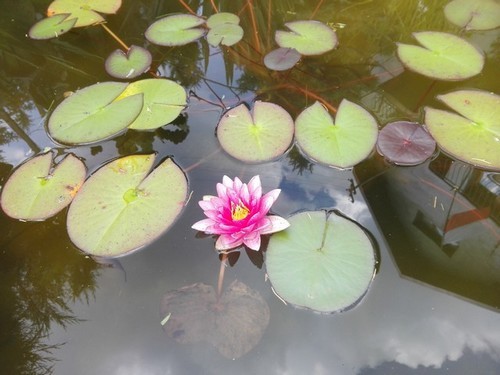 Kartka Po�egnanie lata