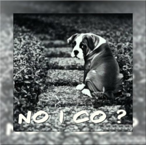 Kartka No i co ?