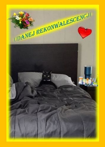 Kartka udanej rekonwalescencji :)