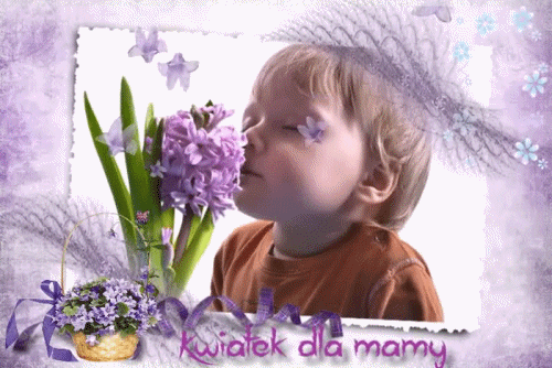 Ma�y ch�opiec w�cha fioletowe hiacynty, obok koszyczek z kwiatami i napis kwiatek dla mamy