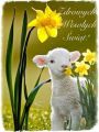 🌼Zdrowych i Weso�ych �wi�t w wiosennym nas