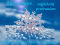 Zimowe pozdrowienia