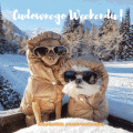 Weekendowe pozdrowienia