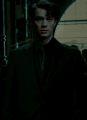 tomek