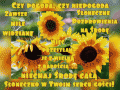 S�oneczne pozdrowienia na �rod�