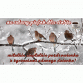 Udanego pi�tku!