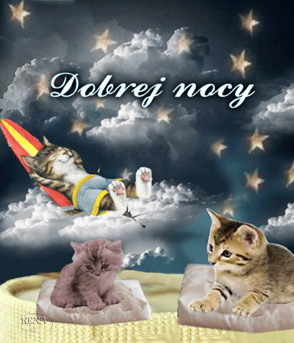 Koty �pi�ce na chmurach i poduszkach noc�, �wiec�ce gwiazdy i napis Dobrej nocy