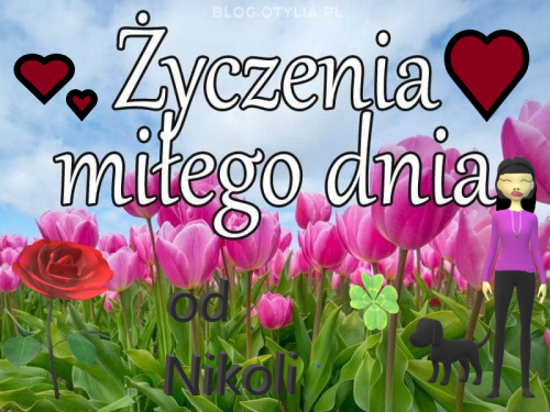 Kartka Mi�ego dnia