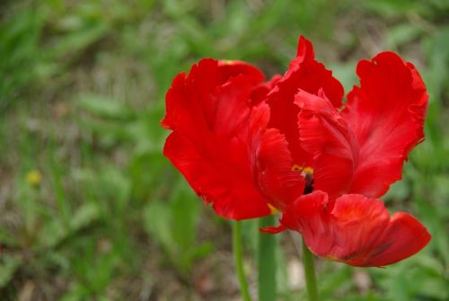 Kartka Witam i pozdrawiam...