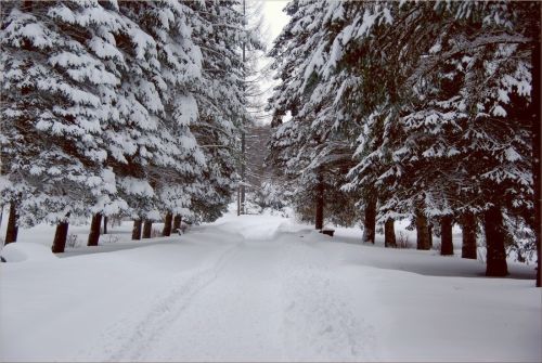 Kartka Witam i pozdrawiam...