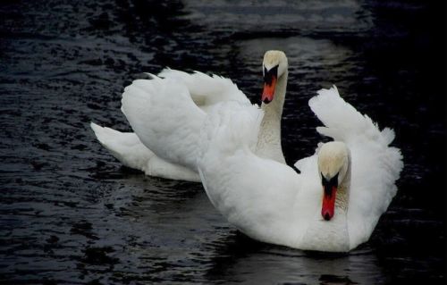 Kartka Witam i pozdrawiam...