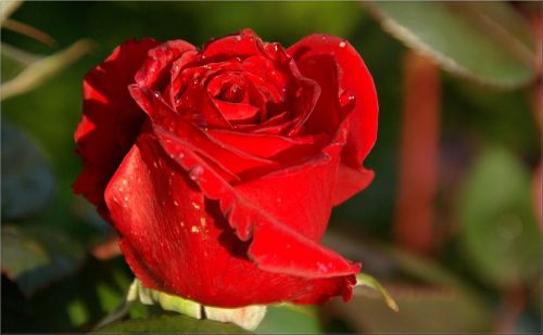 Kartka Pozdrawiam...