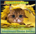 🤗�ycz� Ci przemi�ej �rody!