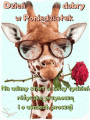🌹Dzie� dobry w Poniedzia�ek!