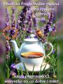     ☕Dzie� dobry w �rod� 💜