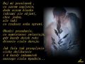 Poca�unek