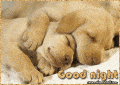 S�odkie male�stwa �pi� !