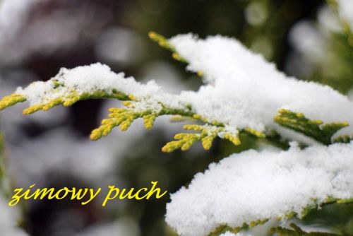 Kartka zimowy puch