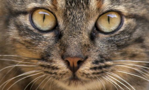 Kartka patrz mi w oczka ;) tam znajdziesz wszystko...