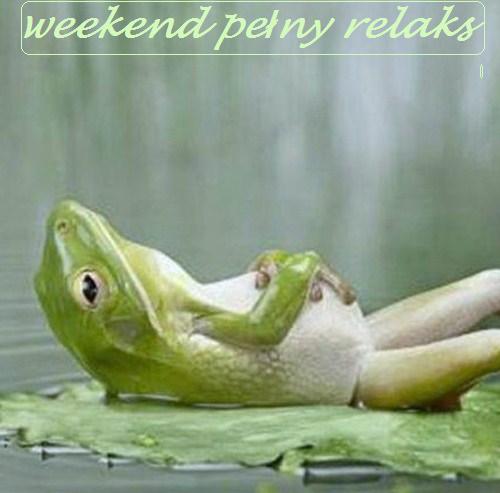 Zielona żaba relaksuje się, leżąc na plecach na liściu, z napisem weekend pełny relaks