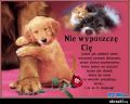 Nie wypuszcz� Ci� Kochany Januszku!