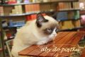 aby do pi�tku