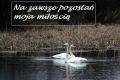 na zawsze pozosta� moj� mi�o�ci�
