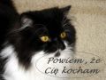 powiem �e Ci� kocham