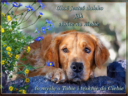 Kartka My�l� o Tobie i T�skni� do Ciebie...