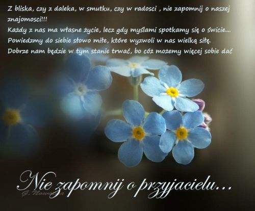 Niebieskie niezapominajki z ��tymi �rodkami i bia�y napis Nie zapomnij o przyjacielu