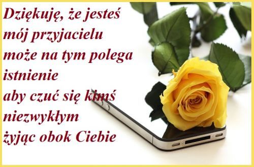 ��ta r�a le��ca na smartfonie z napisem o przyja�ni i li��mi w tle