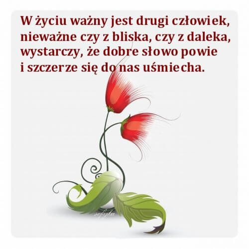 Dwa czerwone kwiaty i zielone li�cie na jasnym tle z napisem o drugim cz�owieku
