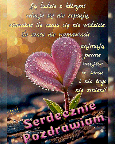R�owy kwiat w kszta�cie serca z kroplami rosy oraz pozdrowienia i cytat o relacjach