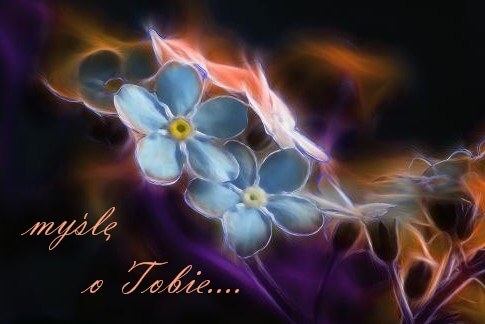 Niebieskie niezapominajki z napisem my�l� o Tobie na ciemnym tle w �wietlnym efekcie