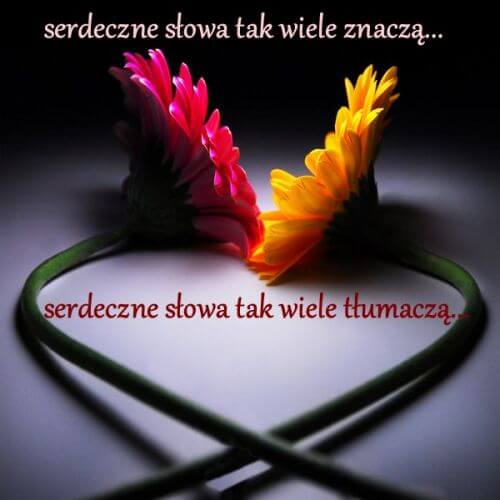 R�owa i ��ta gerbera z �odygami u�o�onymi w kszta�t serca oraz napisy
