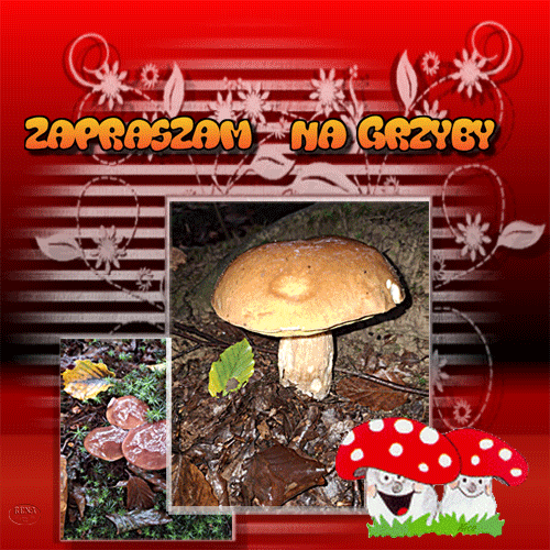 Kartka Zapraszam na grzyby