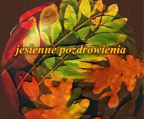 Kolorowe li�cie d�bu i jarz�biny u�o�one w okr�g z napisem Jesienne pozdrowienia