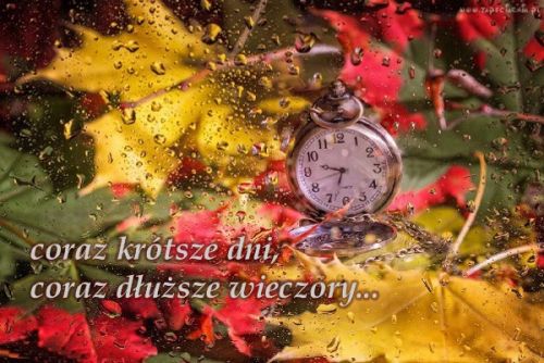 Kieszonkowy zegarek na tle kolorowych li�ci klonu za szyb� w kroplach deszczu