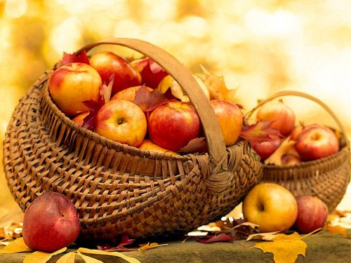 Wiklinowe kosze pe�ne dojrza�ych czerwonych i ��tych jab�ek w�r�d jesiennych li�ci