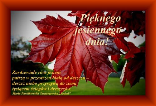 Czerwony li�� klonu na tle parku z napisem Pi�knego jesiennego dnia i wierszem